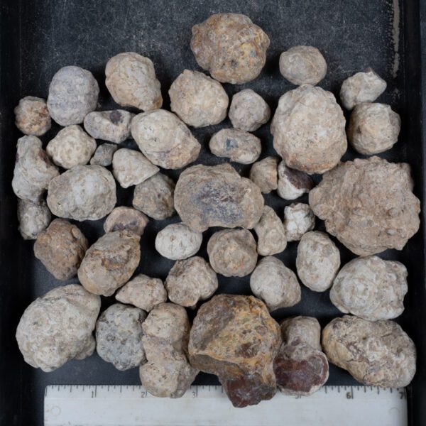 Mexican Red Hot Agate (Berrendo) Nodules