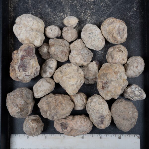 Mexican Red Hot Agate (Berrendo) Nodules