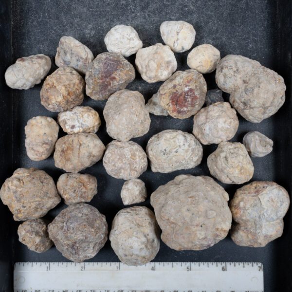 Mexican Red Hot Agate (Berrendo) Nodules