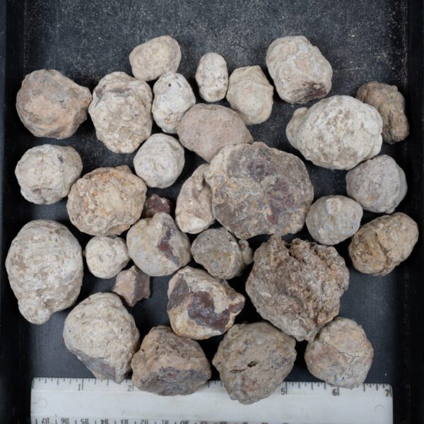 Mexican Red Hot Agate (Berrendo) Nodules