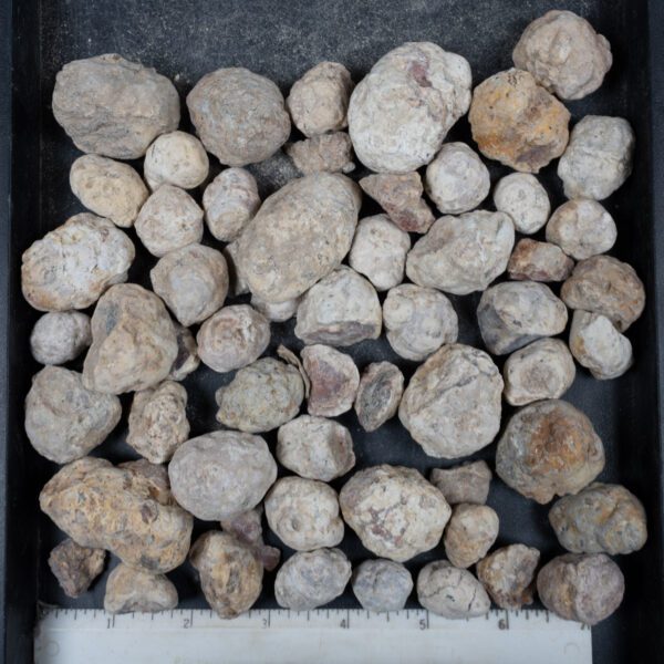 Mexican Red Hot Agate (Berrendo) Nodules