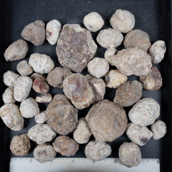 Mexican Red Hot Agate (Berrendo) Nodules
