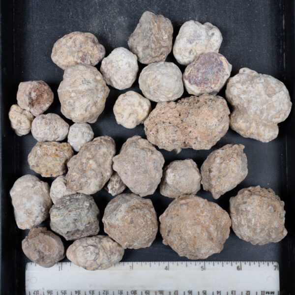 Mexican Red Hot Agate (Berrendo) Nodules
