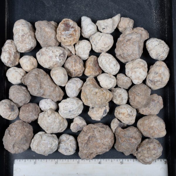 Mexican Red Hot Agate (Berrendo) Nodules