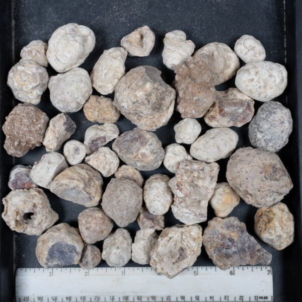 Mexican Red Hot Agate (Berrendo) Nodules