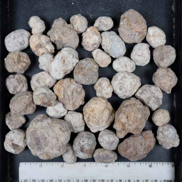 Mexican Red Hot Agate (Berrendo) Nodules