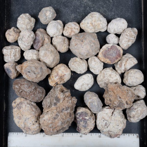 Mexican Red Hot Agate (Berrendo) Nodules