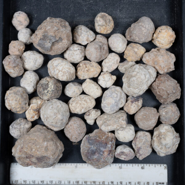 Mexican Red Hot Agate (Berrendo) Nodules