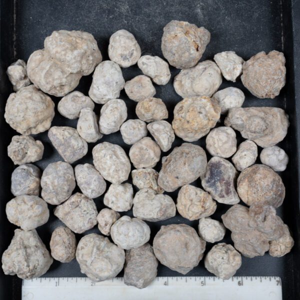 Mexican Red Hot Agate (Berrendo) Nodules