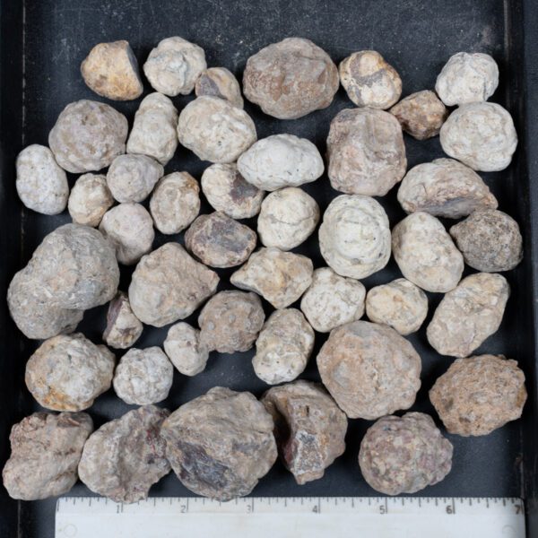 Mexican Red Hot Agate (Berrendo) Nodules