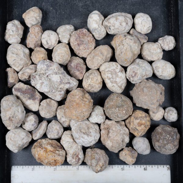 Mexican Red Hot Agate (Berrendo) Nodules
