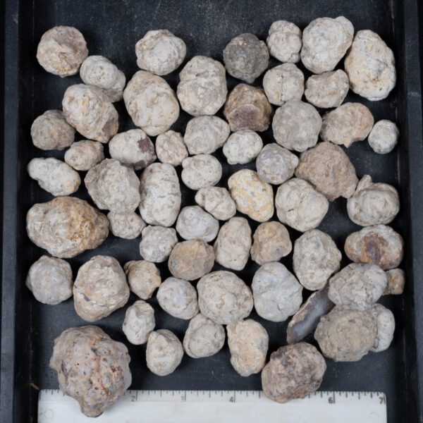 Mexican Red Hot Agate (Berrendo) Nodules