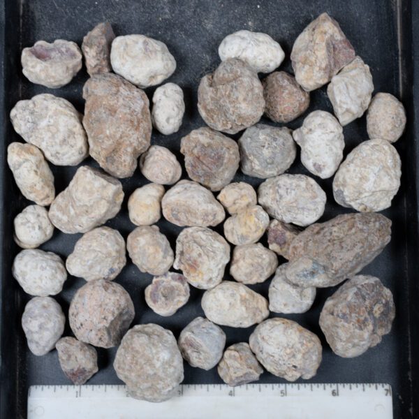 Mexican Red Hot Agate (Berrendo) Nodules