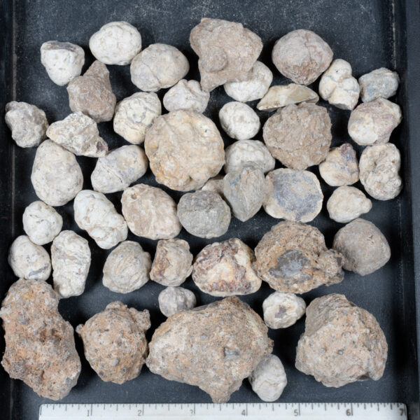 Mexican Red Hot Agate (Berrendo) Nodules