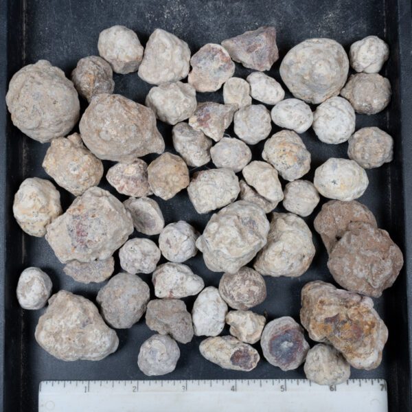 Mexican Red Hot Agate (Berrendo) Nodules