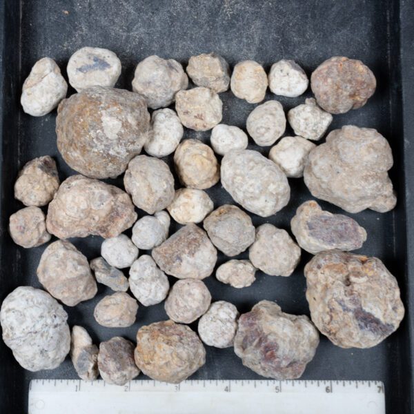 Mexican Red Hot Agate (Berrendo) Nodules