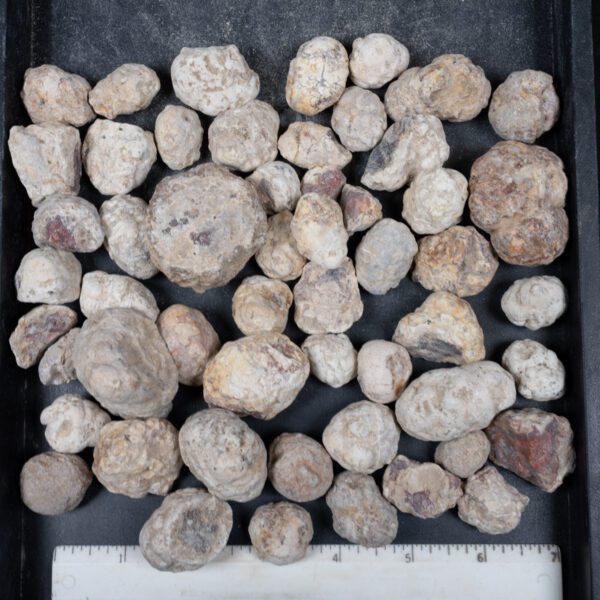 Mexican Red Hot Agate (Berrendo) Nodules
