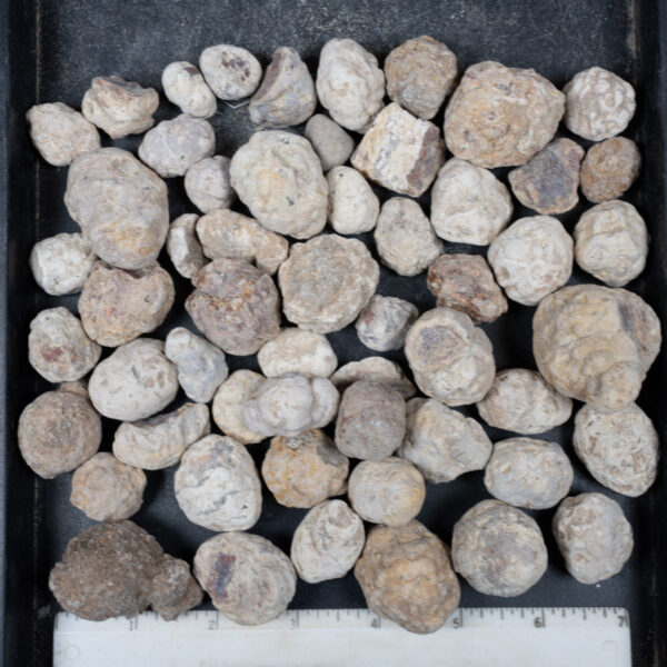 Mexican Red Hot Agate (Berrendo) Nodules