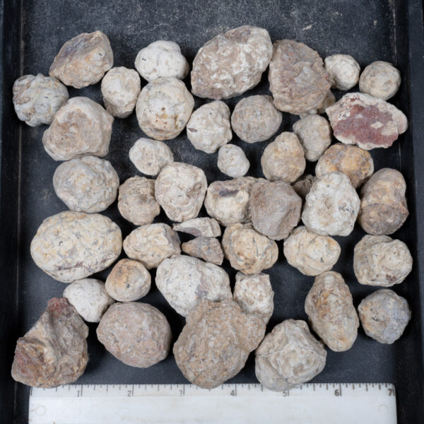 Mexican Red Hot Agate (Berrendo) Nodules