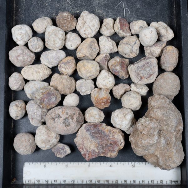 Mexican Red Hot Agate (Berrendo) Nodules