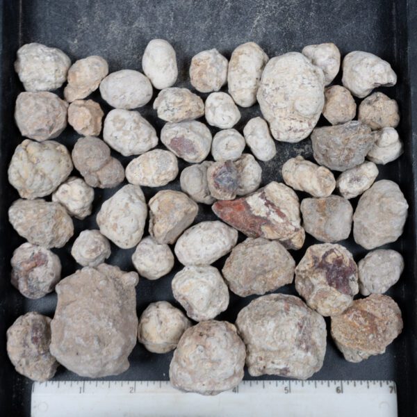 Mexican Red Hot Agate (Berrendo) Nodules