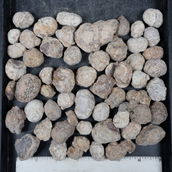 Mexican Red Hot Agate (Berrendo) Nodules