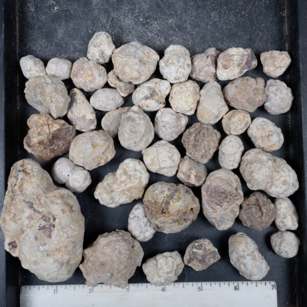 Mexican Red Hot Agate (Berrendo) Nodules