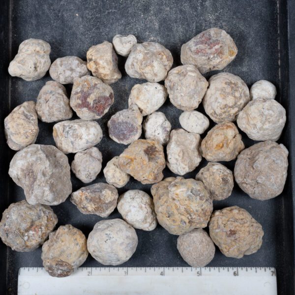 Mexican Red Hot Agate (Berrendo) Nodules