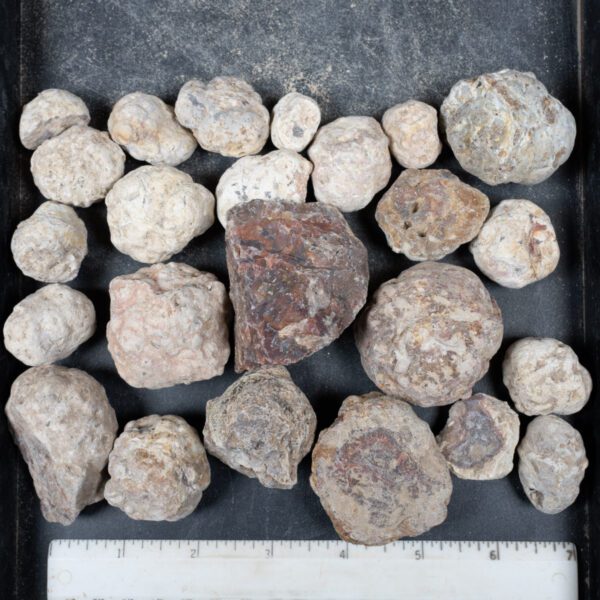 Mexican Red Hot Agate (Berrendo) Nodules