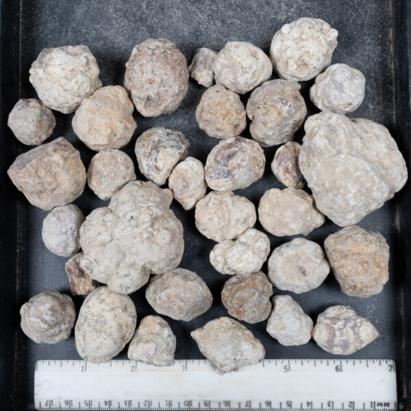 Mexican Red Hot Agate (Berrendo) Nodules