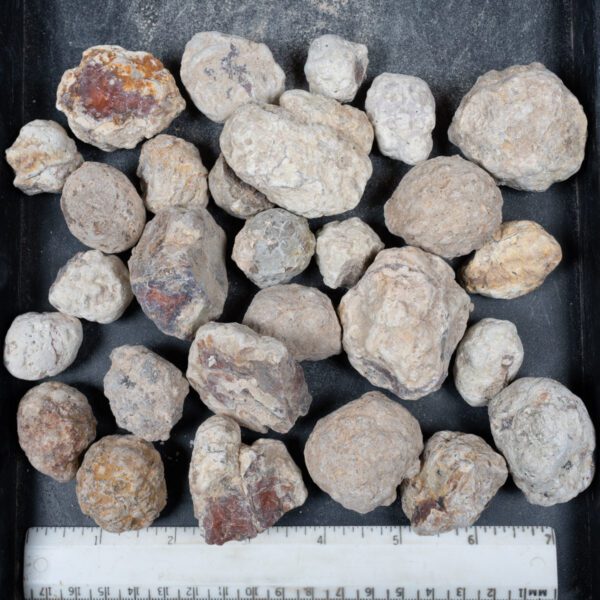 Mexican Red Hot Agate (Berrendo) Nodules