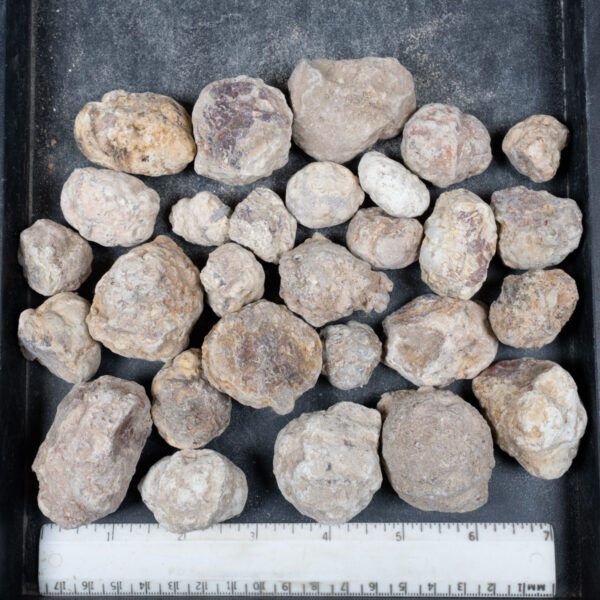 Mexican Red Hot Agate (Berrendo) Nodules
