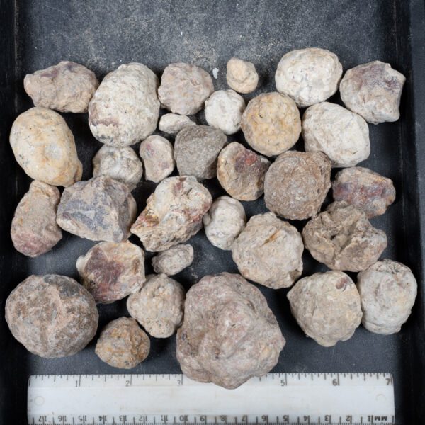 Mexican Red Hot Agate (Berrendo) Nodules