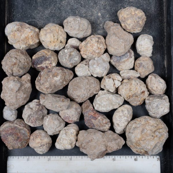 Mexican Red Hot Agate (Berrendo) Nodules