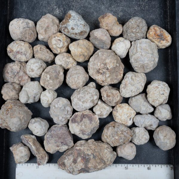 Mexican Red Hot Agate (Berrendo) Nodules