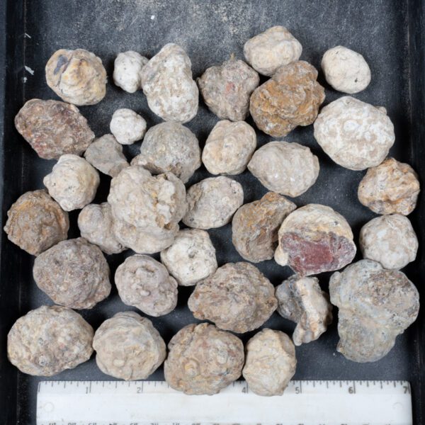 Mexican Red Hot Agate (Berrendo) Nodules