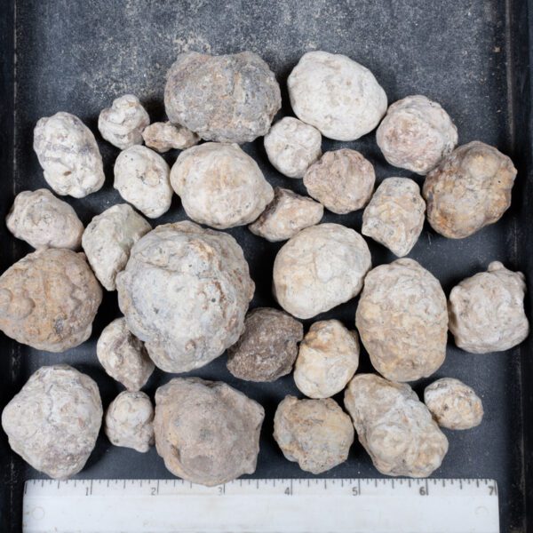 Mexican Red Hot Agate (Berrendo) Nodules
