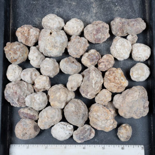 Mexican Red Hot Agate (Berrendo) Nodules