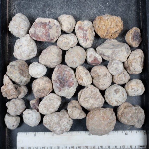 Mexican Red Hot Agate (Berrendo) Nodules