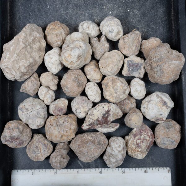 Mexican Red Hot Agate (Berrendo) Nodules