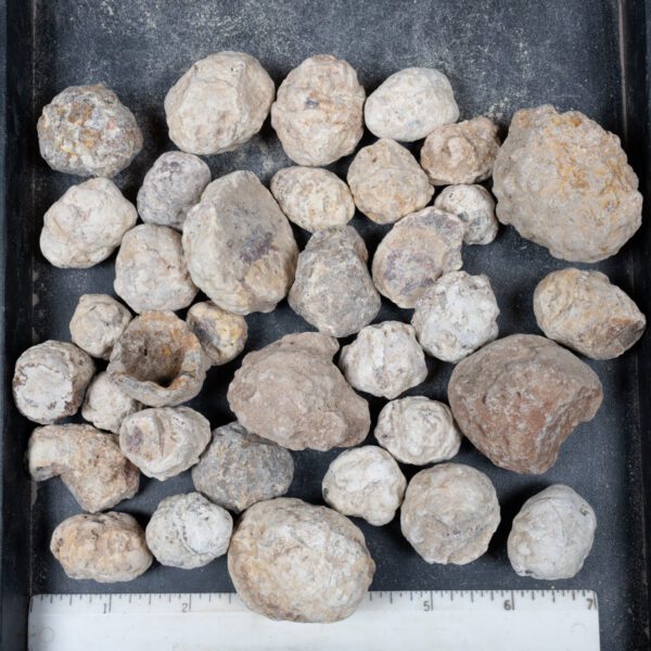 Mexican Red Hot Agate (Berrendo) Nodules