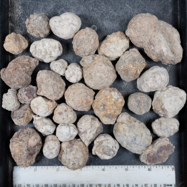Mexican Red Hot Agate (Berrendo) Nodules
