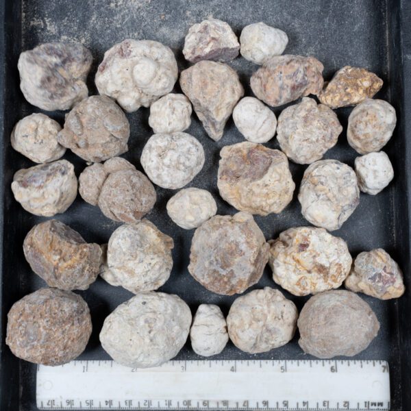 Mexican Red Hot Agate (Berrendo) Nodules