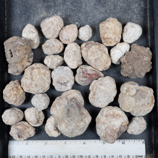 Mexican Red Hot Agate (Berrendo) Nodules