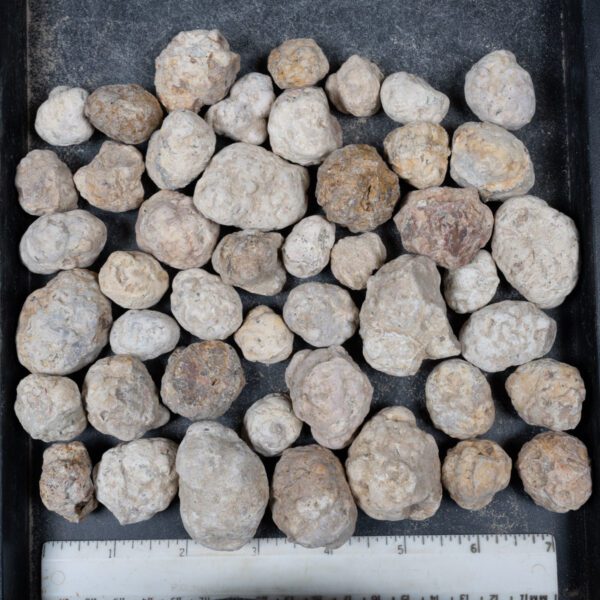 Mexican Red Hot Agate (Berrendo) Nodules