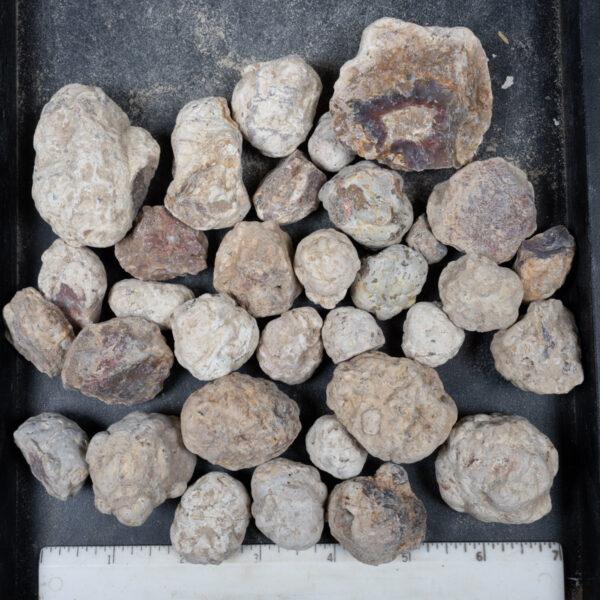 Mexican Red Hot Agate (Berrendo) Nodules