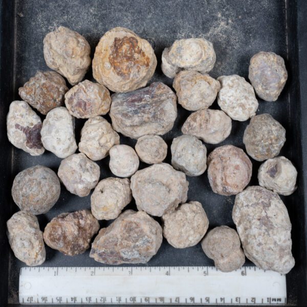 Mexican Red Hot Agate (Berrendo) Nodules