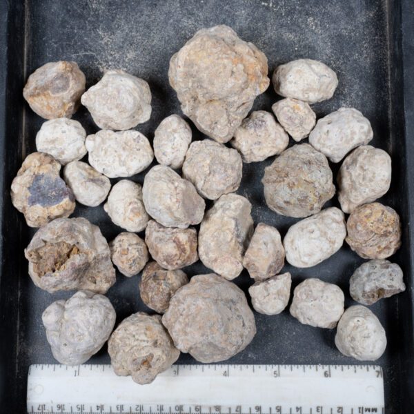Mexican Red Hot Agate (Berrendo) Nodules