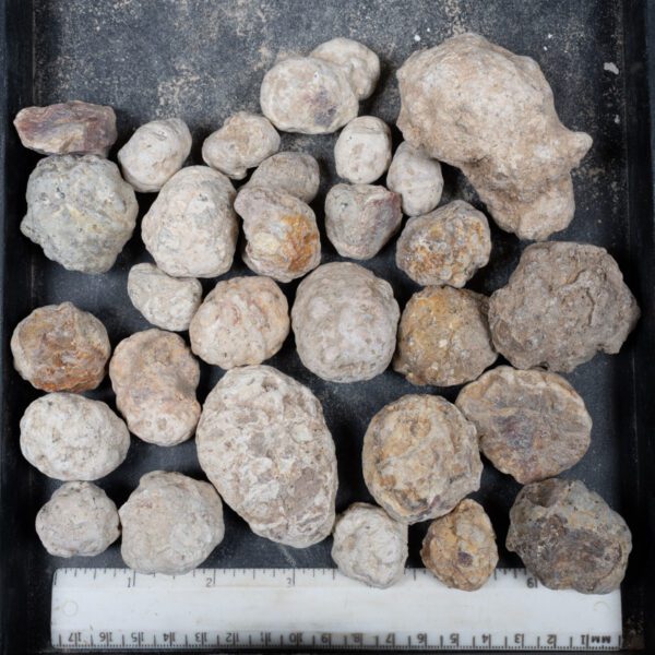Mexican Red Hot Agate (Berrendo) Nodules