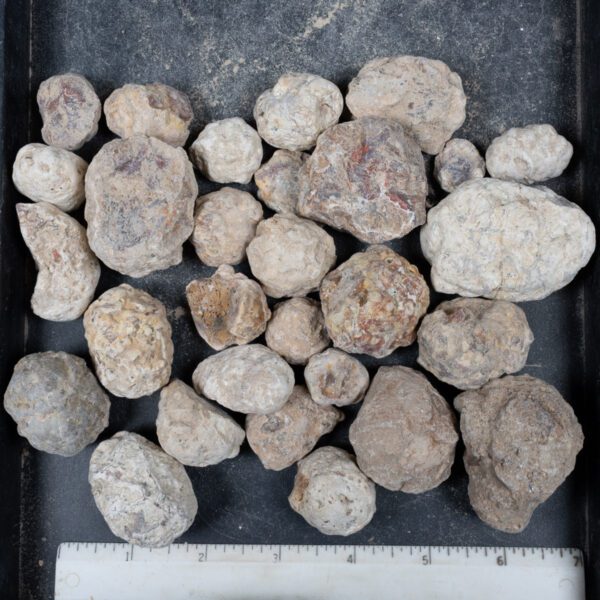 Mexican Red Hot Agate (Berrendo) Nodules